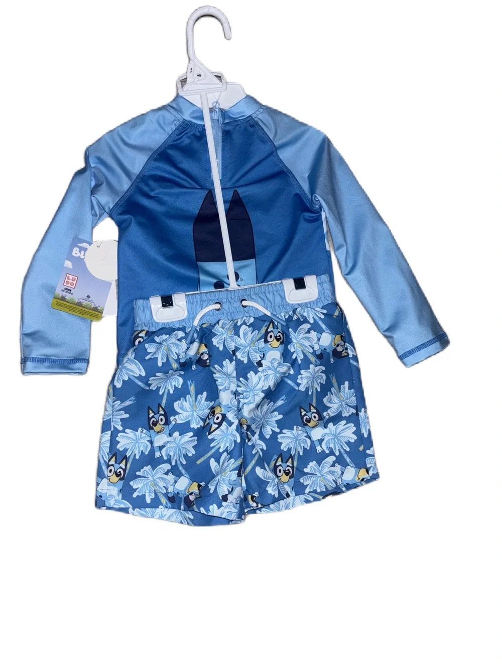 Bluey Boys Kids Rash Guard Set 2 pc Long sleeve Shirt & Swim Trunks Bathing Suit